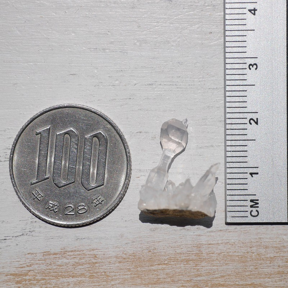天然石セプタークォーツ(メキシコ チワワ州産)約1.1g幅約18mm王笏水晶ミニクラスター[spq-200812-06] 5枚目の画像