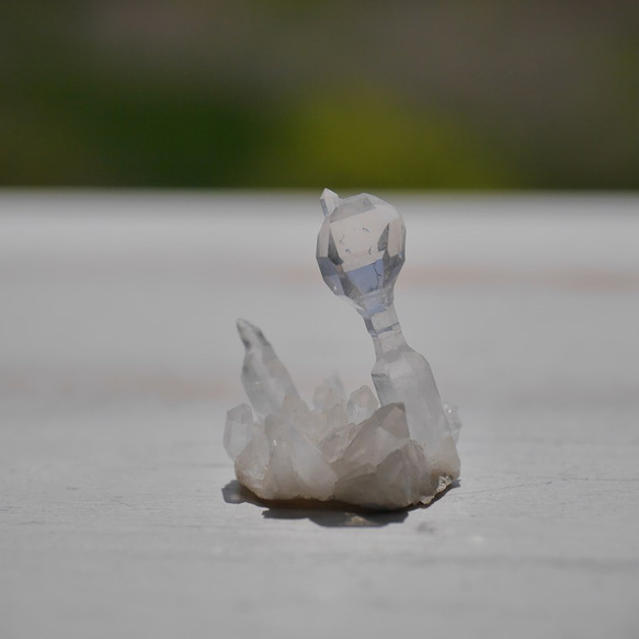 天然石セプタークォーツ(メキシコ チワワ州産)約1.1g幅約18mm王笏水晶ミニクラスター[spq-200812-06] 6枚目の画像