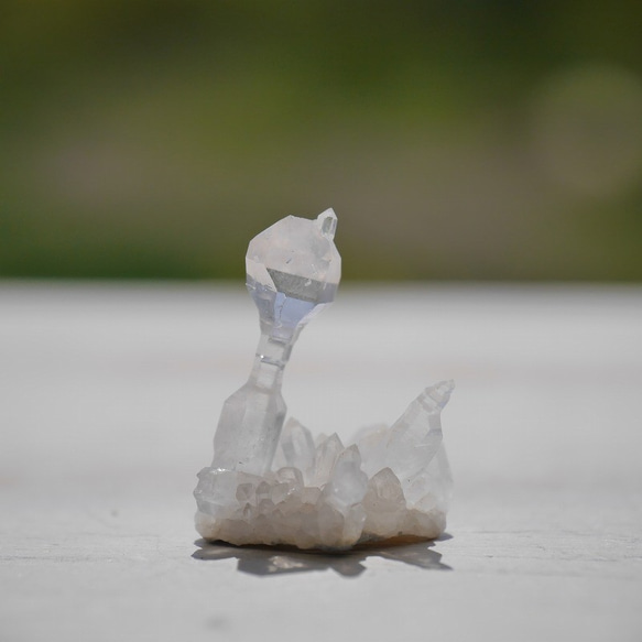 天然石セプタークォーツ(メキシコ チワワ州産)約1.1g幅約18mm王笏水晶ミニクラスター[spq-200812-06] 7枚目の画像