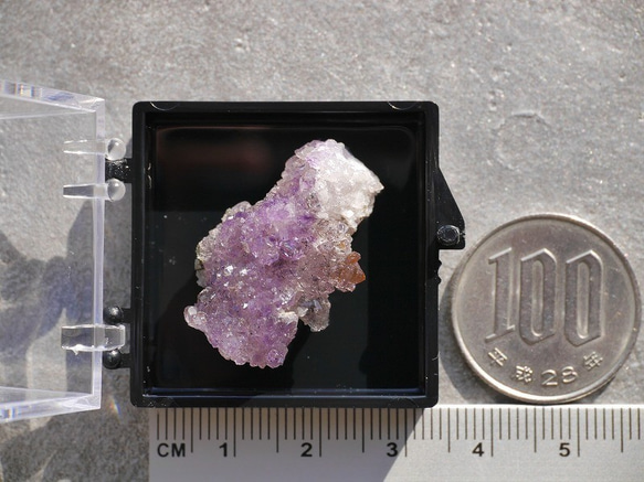 天然石アメジストエレスチャル(ヒマラヤ産)原石結晶ミニクラスター ケース付き 紫水晶誕生石[amc-200826-01] 5枚目の画像