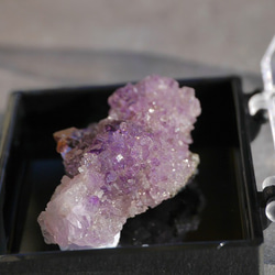 天然石アメジストエレスチャル(ヒマラヤ産)原石結晶ミニクラスター ケース付き 紫水晶誕生石[amc-200826-01] 9枚目の画像