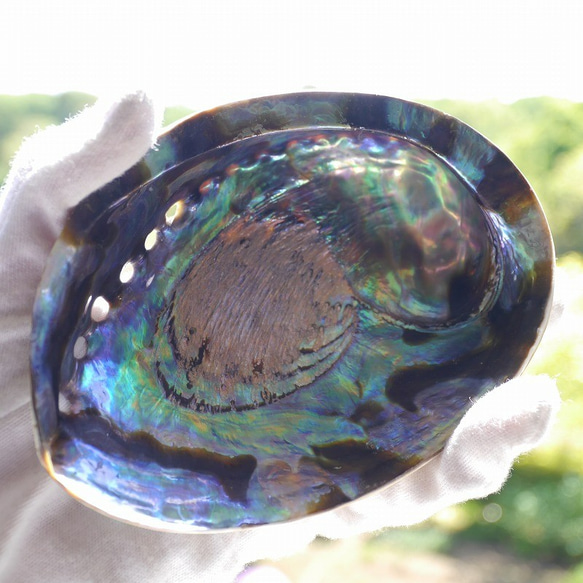 天然貝皿ナチュラルアバローニ貝器(ニュージーランド産)約13.5×9.5cm虹色アワビ素材[ash-210629-01] 10枚目の画像