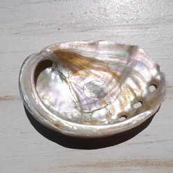 SALE✨2個セット☆天然貝皿ナチュラルアバローニ貝器(ニュージーランド産)約6cmシェル[ash-210629-02] 5枚目の画像