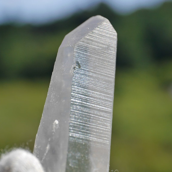 天然石レムリアンシードクリスタル約20g約57mm(セラ・ド・カブラル産)水晶ポイント[lem-211116-02] 8枚目の画像