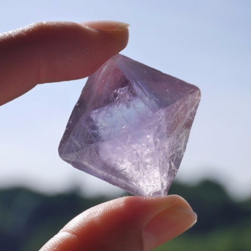 フローライト 八面体 水晶 共生 鉱物 標本 原石 フローライト 八面体 の商品一覧- 鉱物標本・隕石標本販売のWeb