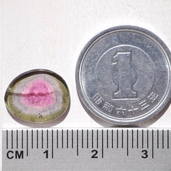 天然石ウォーターメロントルマリン スライスルース超透明 約0.5g最大幅約13.0mm 素材[sl-151102-03] 5枚目の画像