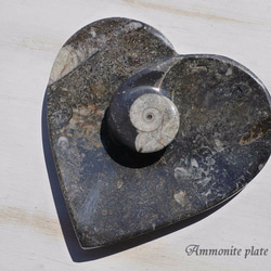 レア！アンモナイト化石 他生物の大理石八角形オブジェプレート！ アンモナイト化石彫りハート型皿 約11.5cm×11.7cmインテリアプレート