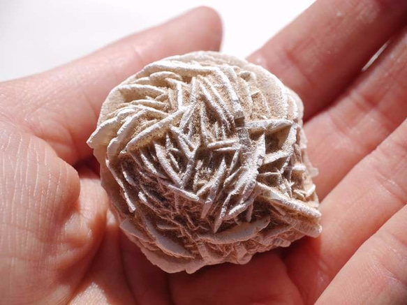 天然石デザートローズ砂漠の薔薇(石膏/メキシコ産) 約3cm〜4cm単品ジプサムローズ[dro-170224-01] 3枚目の画像