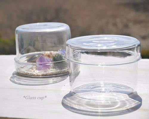 ガラスドーム　レア DETAIL ガラスドーム シリンダー2 HERE Glass Dome 
