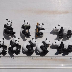 「パンダ」9体セット ミニフィギュア☆サファリ社チューブ 動物レプリカ テラリウム飾り[saf-170411-01] 5枚目の画像