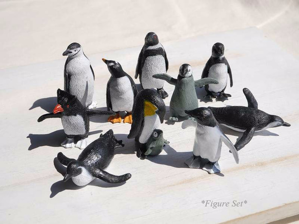 ペンギン 爬虫類 魚フィギュア ケース入り ペンギン 爬虫類 魚フィギュア ケース入り