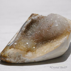 激レア☆クリスタルアゲートシェル(インドネシア産)クォーツ貝化石 約
