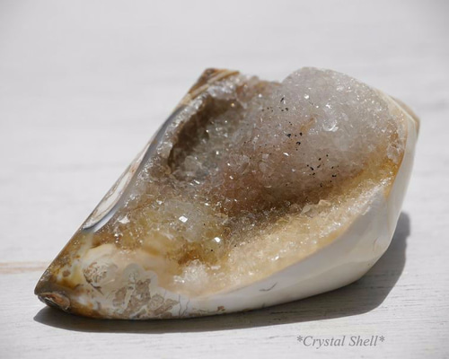 0_1c6be49bddc0a63bb9d2e30309a5