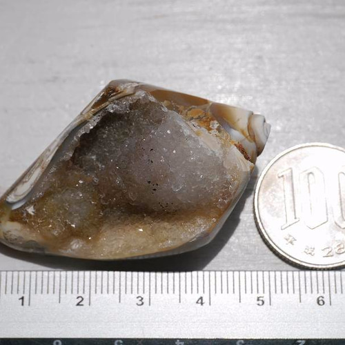 激レア☆クリスタルアゲートシェル(インドネシア産)クォーツ貝化石 約