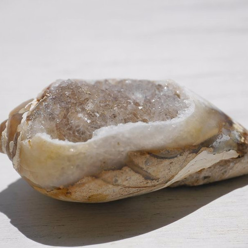 激レア☆クリスタルアゲートシェル(インドネシア産)クォーツ貝化石 約