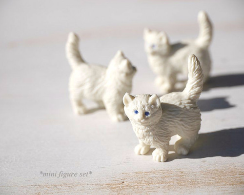 0_421cca3a12c5ecceea04c2395413