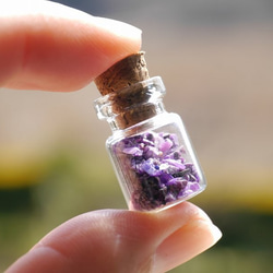 コルクミニミニボトル 10個セット 天然石のディスプレイに♪極小テラリウム花瓶22358[bo-180317-01] 3枚目の画像