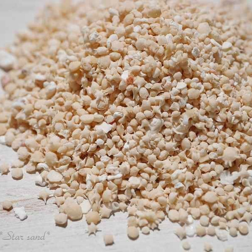 星の砂☆スターサンド(沖縄県石垣島近海産)未仕分けミックス 約10g分