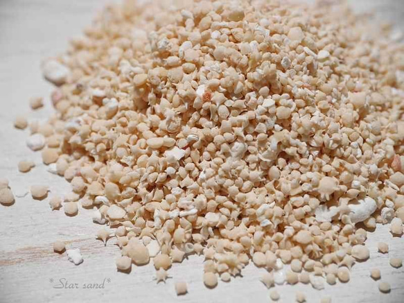 星の砂☆スターサンド(沖縄県石垣島近海産)未仕分けミックス 約10g分