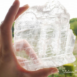 天然石セレナイト(ユタ州産)プレート状特大原石約293g最大幅約