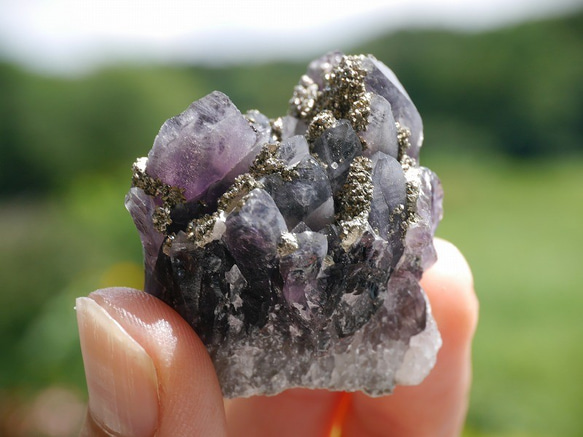 天然石ブルガリア産 パイライト共生ブラックアメジストクラスター 約33.4g 紫水晶[bapc-190824-02] 2枚目の画像