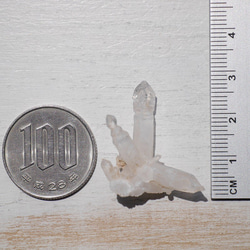 天然石セプタークォーツ(メキシコ チワワ州産)約2.2g約27mm王笏水晶ミニクラスター[spq-200603-03] 5枚目の画像