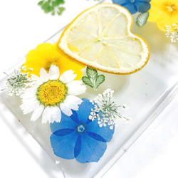 青い爽やかハートレモンの押し花iPhoneケース 2枚目の画像