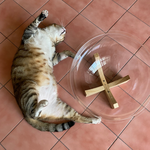 フロアスペースカプセルペット猫ベッド猫ケージ小型犬 フロアスペースカプセルペット猫ベッド猫ケージ小型犬