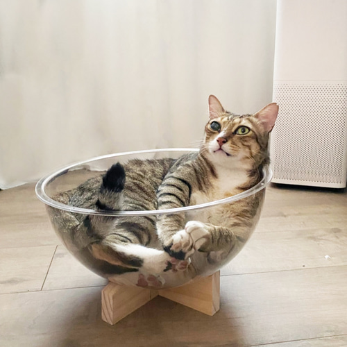 フロアスペースカプセルペット猫ベッド猫ケージ小型犬