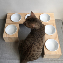 [防水]  [實木] 寵物餐桌 三口碗架 附瓷碗 第5張的照片