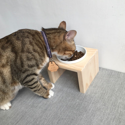 [防水] [實木] 寵物餐桌 單口碗架 附瓷碗 第1張的照片
