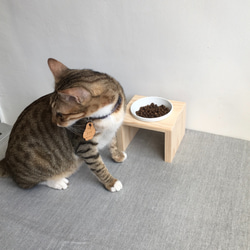 [防水] [實木] 寵物餐桌 單口碗架 附瓷碗 第2張的照片