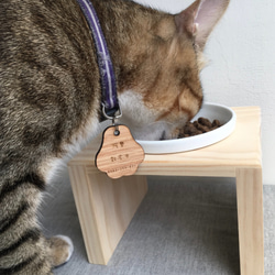 [防水] [實木] 寵物餐桌 單口碗架 附瓷碗 第3張的照片