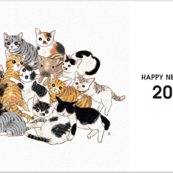 色を選べる2019年賀状Ver.2　11匹の猫とうりぼう ＜22枚セット＞　送料無料 1枚目の画像
