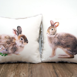 台灣野兔抱枕(台北堇菜)母兔-30cm 第6張的照片
