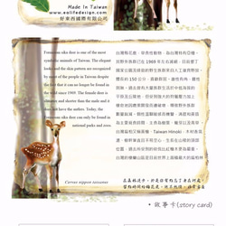 台灣梅花鹿抱枕(台灣扁柏)母鹿-30cm 第8張的照片
