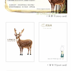 台灣梅花鹿抱枕(台灣扁柏)公鹿-50cm 第8張的照片