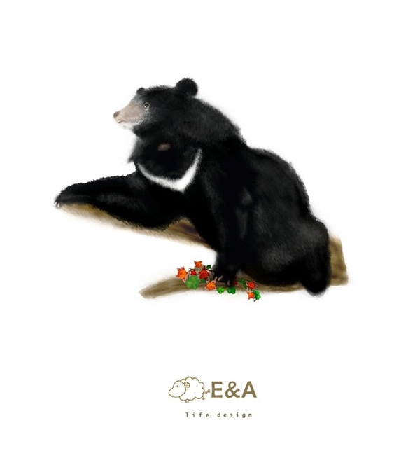 {E&A Life Design}台灣黑熊抱枕四件組 第9張的照片