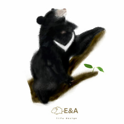 {E&A Life Design}台灣黑熊抱枕四件組 第10張的照片