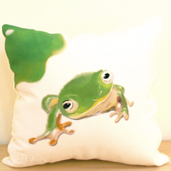 台北樹蛙(左葉)抱枕-30cm 第1張的照片