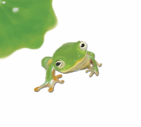 台北樹蛙(左葉)抱枕-30cm 第8張的照片