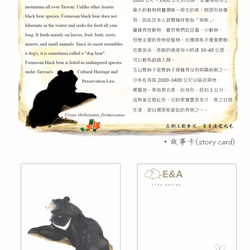 台灣黑熊&玉山懸鉤子抱枕-30cm 第7張的照片