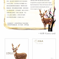 台灣梅花鹿抱枕(梅花)公鹿-30cm 第7張的照片