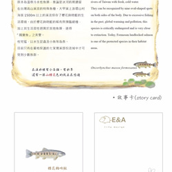 櫻花鉤吻鮭(向右)抱枕-50cm 第6張的照片