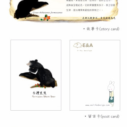 台灣黑熊&玉山懸鉤子抱枕-50cm 第6張的照片