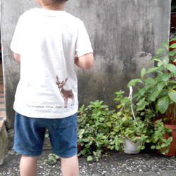 台湾ニホンジカTシャツ（子供スタイル - 梅鹿） 5枚目の画像