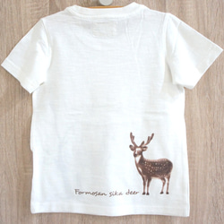 台湾ニホンジカTシャツ（子供スタイル - 梅鹿） 6枚目の画像