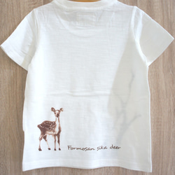 台灣梅花鹿 T-shirt (兒童款-梅花母鹿) 第2張的照片