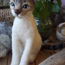 カスタムリアルウールフェルト〜White Tabby Cat 2枚目の画像