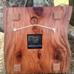石垣島の島木の掛け時計 4枚目の画像